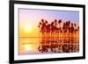 Coconut Palms at Sunset-lekcej-Framed Photographic Print