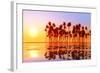 Coconut Palms at Sunset-lekcej-Framed Photographic Print