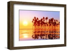 Coconut Palms at Sunset-lekcej-Framed Photographic Print