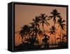 Coconut Palms, Boca Chica, South Coast, Dominican Republic, West Indies, Central America-Thouvenin Guy-Framed Stretched Canvas