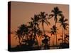 Coconut Palms, Boca Chica, South Coast, Dominican Republic, West Indies, Central America-Thouvenin Guy-Stretched Canvas