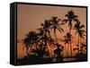 Coconut Palms, Boca Chica, South Coast, Dominican Republic, West Indies, Central America-Thouvenin Guy-Framed Stretched Canvas