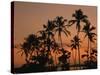 Coconut Palms, Boca Chica, South Coast, Dominican Republic, West Indies, Central America-Thouvenin Guy-Stretched Canvas