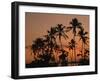 Coconut Palms, Boca Chica, South Coast, Dominican Republic, West Indies, Central America-Thouvenin Guy-Framed Photographic Print