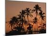 Coconut Palms, Boca Chica, South Coast, Dominican Republic, West Indies, Central America-Thouvenin Guy-Mounted Photographic Print