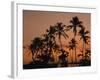 Coconut Palms, Boca Chica, South Coast, Dominican Republic, West Indies, Central America-Thouvenin Guy-Framed Photographic Print