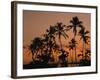 Coconut Palms, Boca Chica, South Coast, Dominican Republic, West Indies, Central America-Thouvenin Guy-Framed Photographic Print