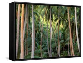 Coconut Palms, Bora Bora, French Polynesia-Art Wolfe-Framed Stretched Canvas