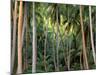 Coconut Palms, Bora Bora, French Polynesia-Art Wolfe-Mounted Photographic Print
