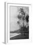 Coconut Palms - Hawaiian Islands Photograph-Lantern Press-Framed Art Print