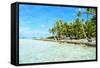 Coconut Palms on A Pacific Island-pljvv-Framed Stretched Canvas