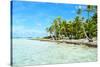 Coconut Palms on A Pacific Island-pljvv-Stretched Canvas