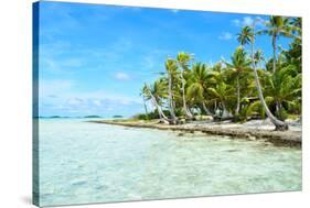 Coconut Palms on A Pacific Island-pljvv-Stretched Canvas