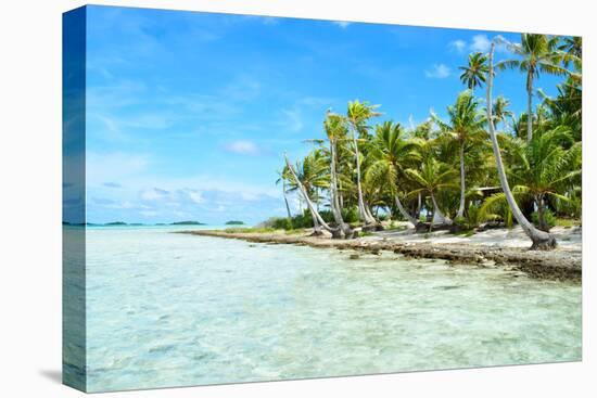 Coconut Palms on A Pacific Island-pljvv-Stretched Canvas