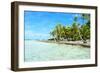 Coconut Palms on A Pacific Island-pljvv-Framed Photographic Print