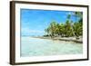 Coconut Palms on A Pacific Island-pljvv-Framed Photographic Print