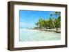 Coconut Palms on A Pacific Island-pljvv-Framed Photographic Print