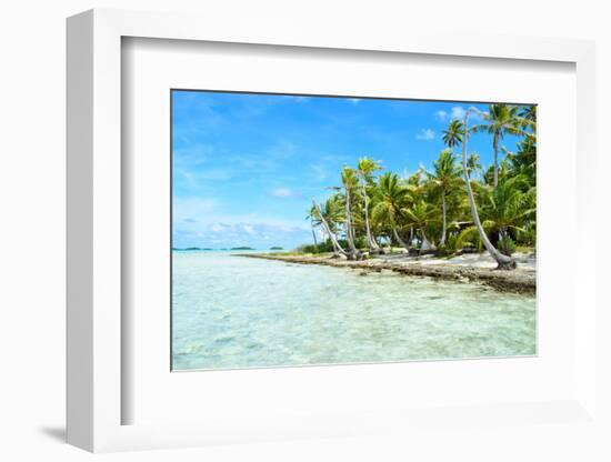 Coconut Palms on A Pacific Island-pljvv-Framed Photographic Print