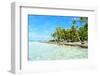 Coconut Palms on A Pacific Island-pljvv-Framed Photographic Print