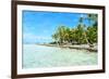 Coconut Palms on A Pacific Island-pljvv-Framed Photographic Print