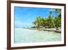 Coconut Palms on A Pacific Island-pljvv-Framed Photographic Print