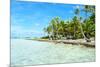 Coconut Palms on A Pacific Island-pljvv-Mounted Photographic Print