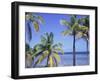 Coconut Palms on Beach, Tropical Island of Belize, Summer 1997-Phil Savoie-Framed Photographic Print