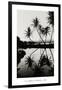 Coconut Palms, Pearl Harbor, Hawaii, 1927-null-Framed Art Print