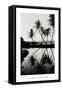 Coconut Palms, Pearl Harbor, Hawaii, 1927-null-Framed Stretched Canvas