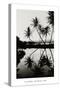 Coconut Palms, Pearl Harbor, Hawaii, 1927-null-Stretched Canvas