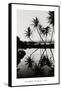 Coconut Palms, Pearl Harbor, Hawaii, 1927-null-Framed Stretched Canvas