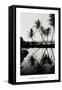 Coconut Palms, Pearl Harbor, Hawaii, 1927-null-Framed Stretched Canvas