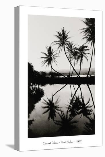 Coconut Palms, Pearl Harbor, Hawaii, 1927-null-Stretched Canvas