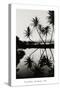 Coconut Palms, Pearl Harbor, Hawaii, 1927-null-Stretched Canvas