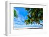 Coconut palms, Scout Park Beach, Cocos (Keeling) Islands, Indian Ocean, Asia-Lynn Gail-Framed Photographic Print