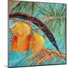 Coconut Palms-null-Mounted Art Print