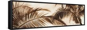 Coconut Palms-Patricia Pinto-Framed Stretched Canvas