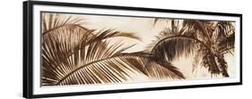 Coconut Palms-Patricia Pinto-Framed Premium Giclee Print