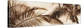 Coconut Palms-Patricia Pinto-Stretched Canvas