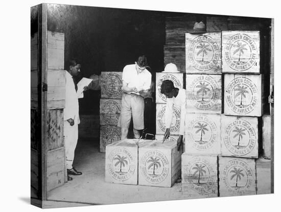 Coconut Production, India, 20th Century-null-Stretched Canvas