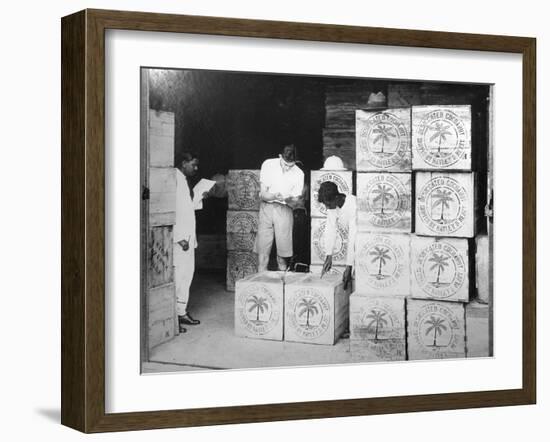 Coconut Production, India, 20th Century-null-Framed Giclee Print