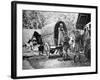 Coconut Production, India, 20th Century-null-Framed Giclee Print