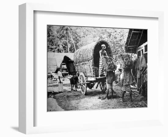 Coconut Production, India, 20th Century-null-Framed Giclee Print