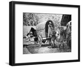 Coconut Production, India, 20th Century-null-Framed Giclee Print