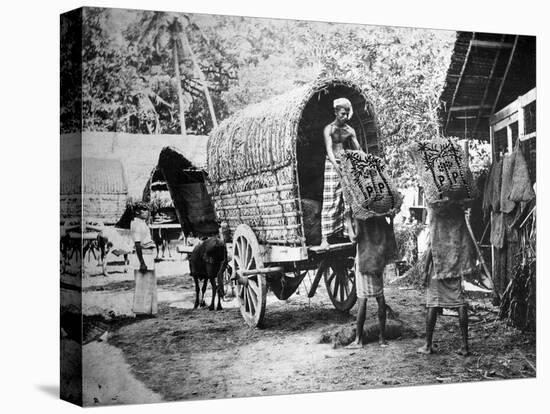 Coconut Production, India, 20th Century-null-Stretched Canvas