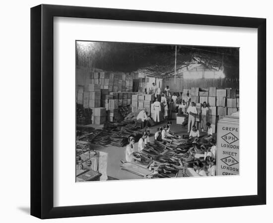 Coconut Production, India, 20th Century-null-Framed Giclee Print