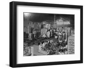 Coconut Production, India, 20th Century-null-Framed Giclee Print