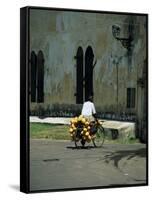 Coconut Seller Riding His Bicycle, Galle, Sri Lanka-Yadid Levy-Framed Stretched Canvas