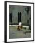 Coconut Seller Riding His Bicycle, Galle, Sri Lanka-Yadid Levy-Framed Photographic Print