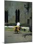 Coconut Seller Riding His Bicycle, Galle, Sri Lanka-Yadid Levy-Mounted Photographic Print